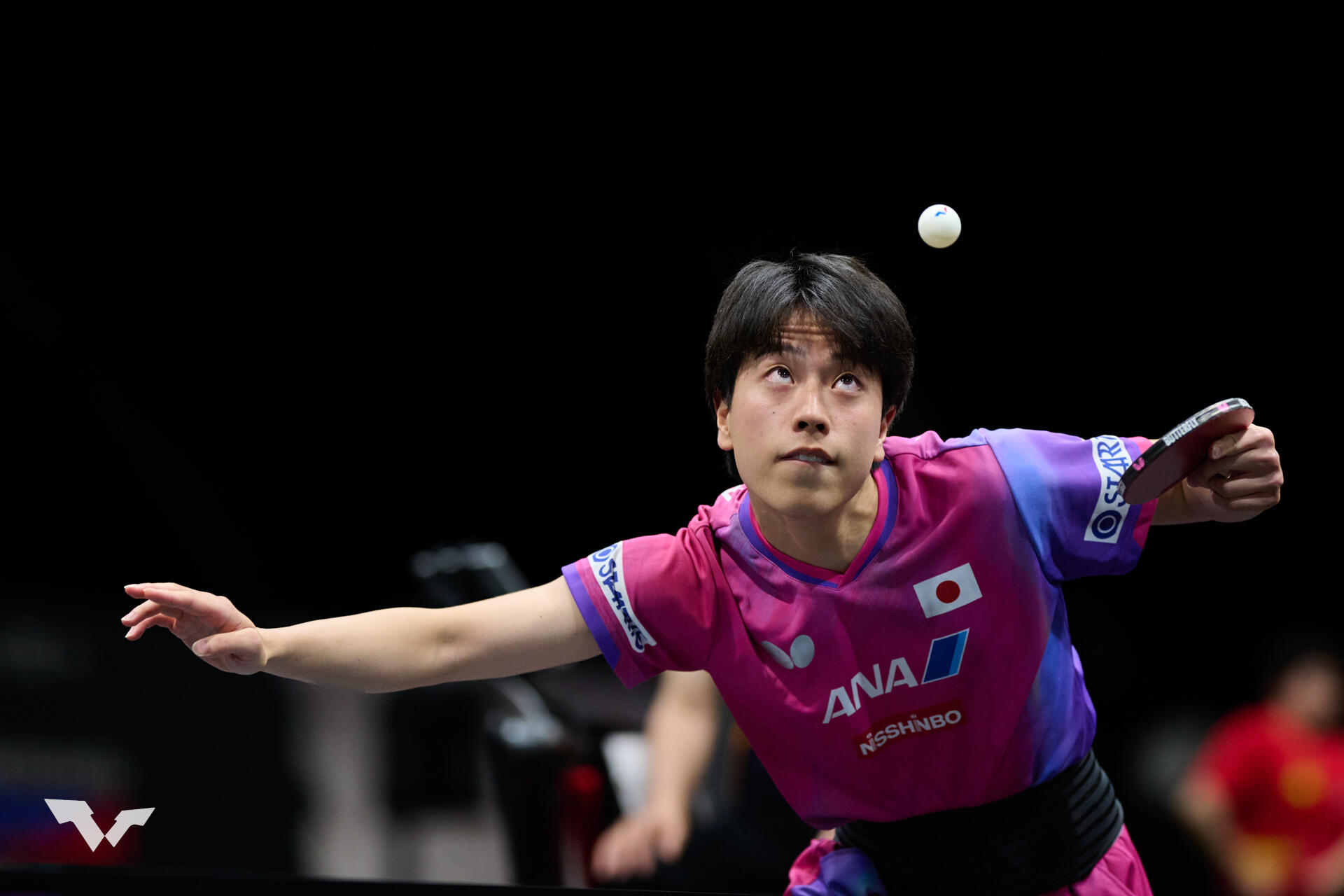 張本美和、早田ひならが初戦突破！戸上はパリ五輪銅メダリストにフル